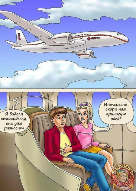 секс в самолете